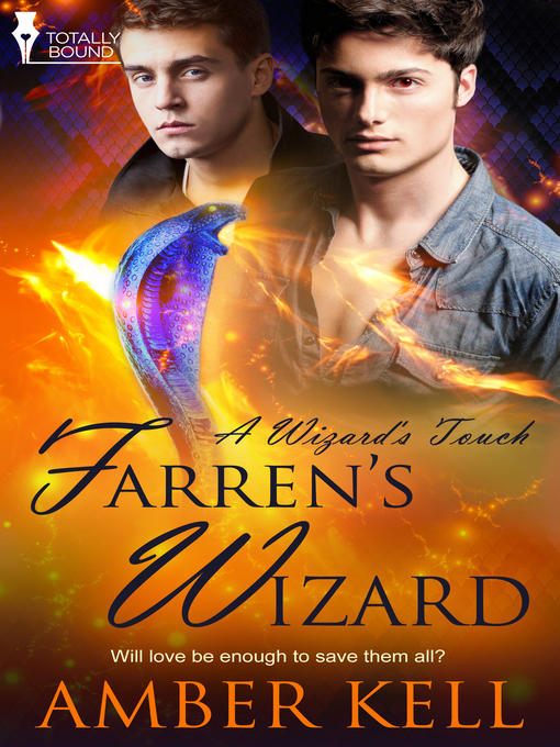 Cover image for Farren's Wizard
